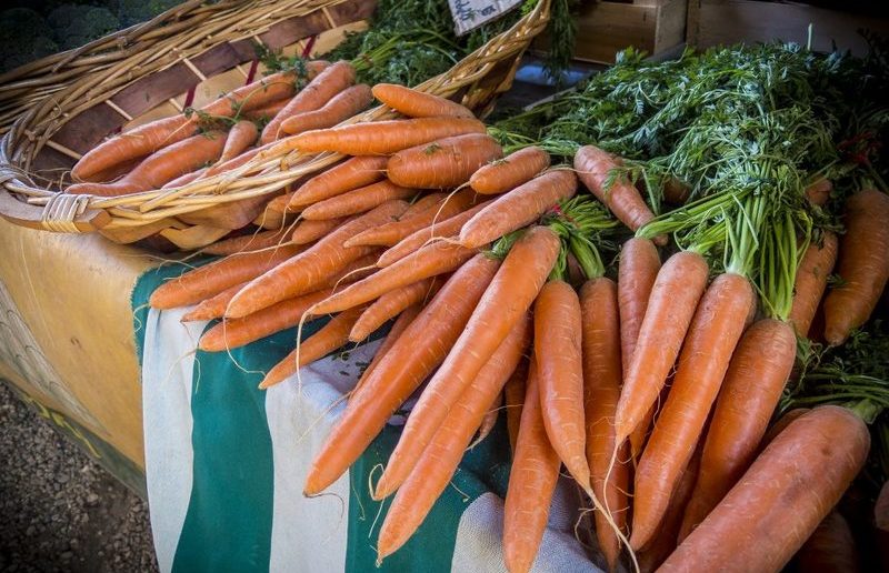 Морковь сорта алтайская лакомка