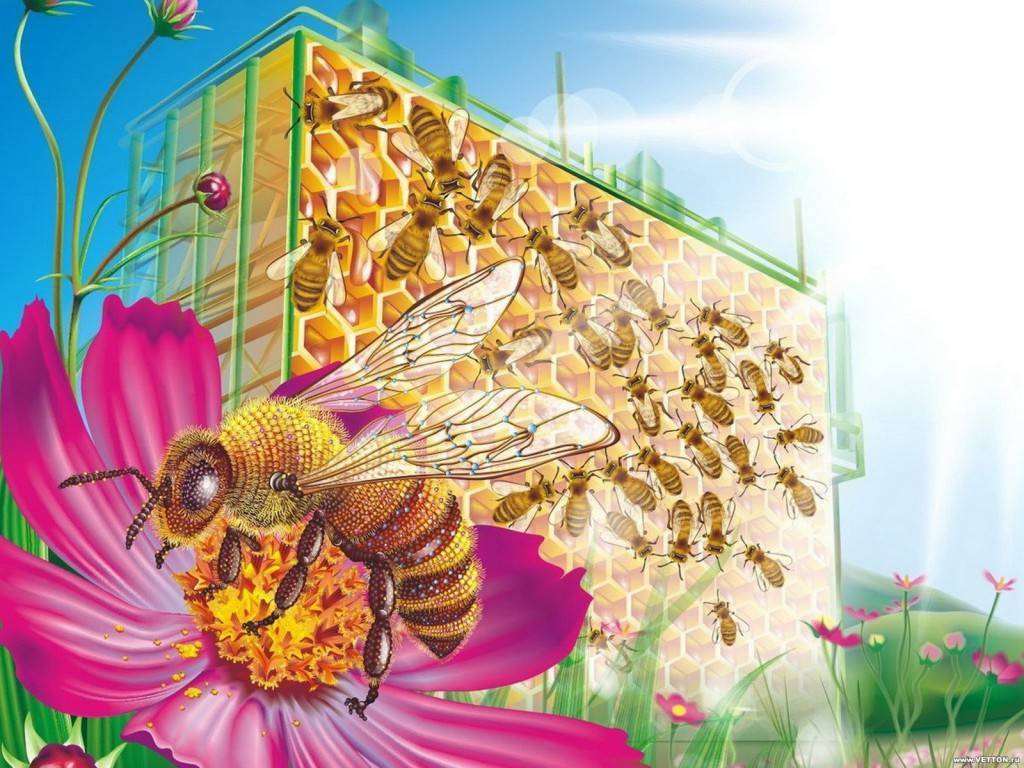Промышленное пчеловодство