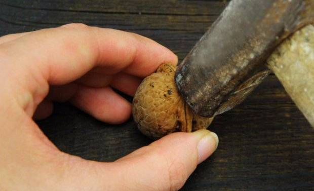 Как чистить грецкие орехи от скорлупы в домашних условиях