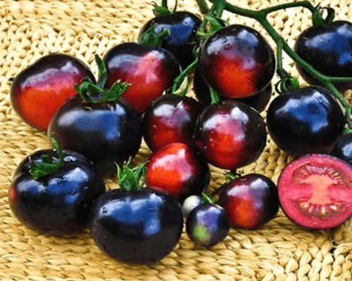 Томат виноградная гроздь: характеристика и описание сорта, фото, отзывы