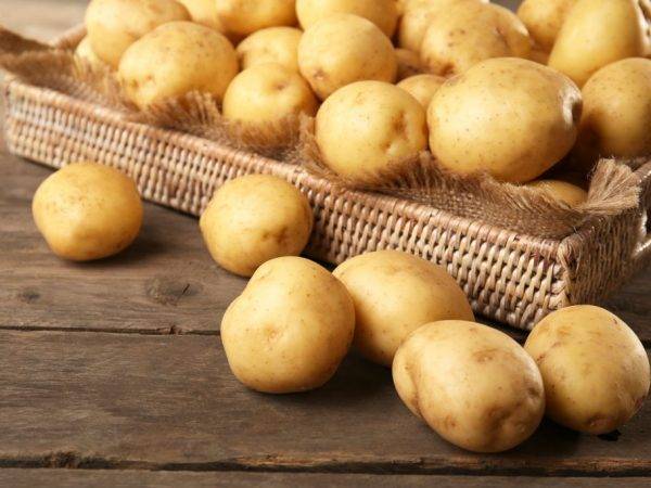 Сорт картофеля наташа: описание и характеристика, отзывы