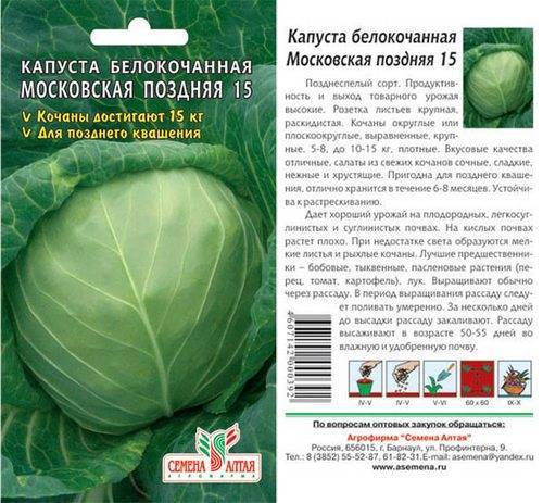 О капусте московская поздняя: описание и характеристика белокочанного сорта