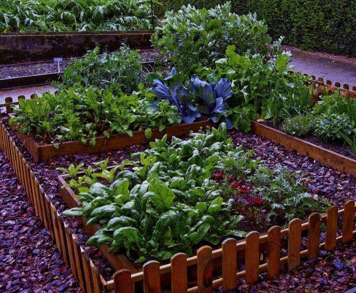 Как украсить огород своими руками: креативное оформление и разбивка на зоны (53 фото + видео)