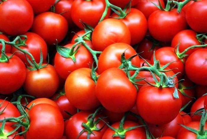 7 народных средств для подкормки томатов после пикировки