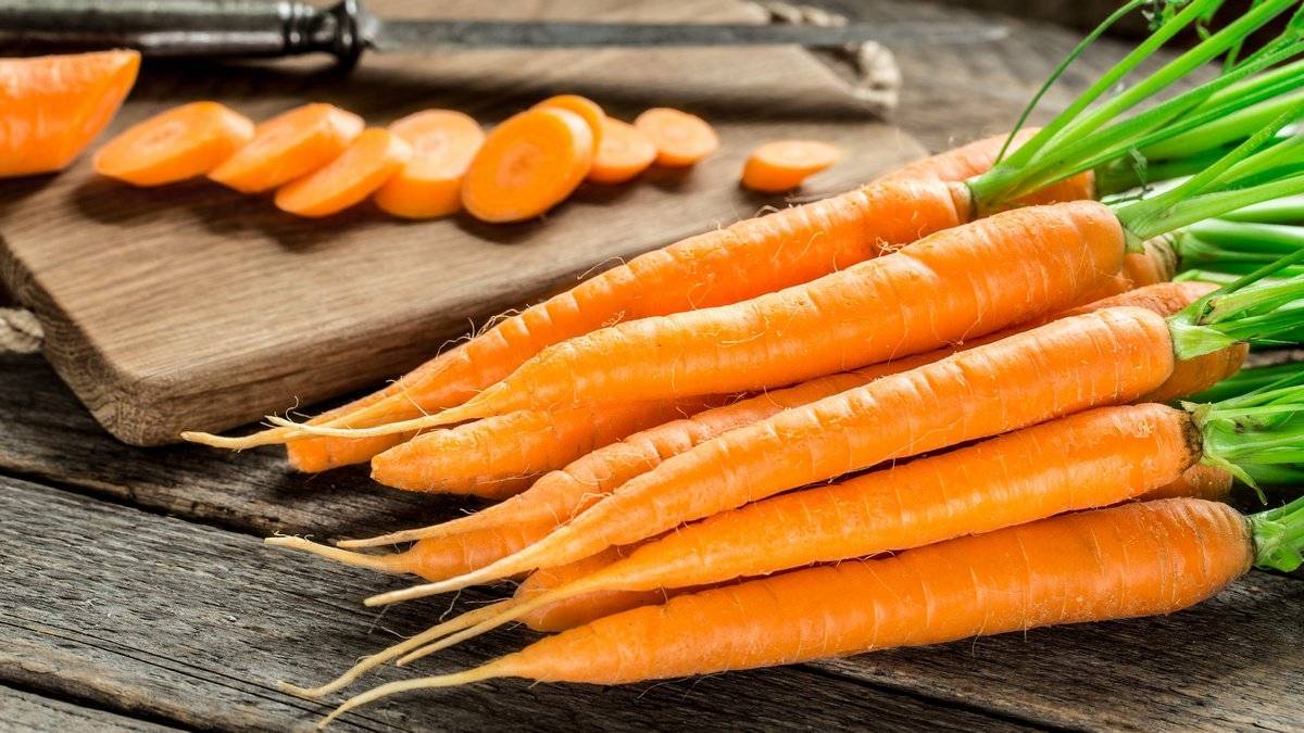 Сорта моркови для хранения на зиму: какой вид лучше выбрать для длительного нахождения в погребе, поздний, ранний либо сладкий