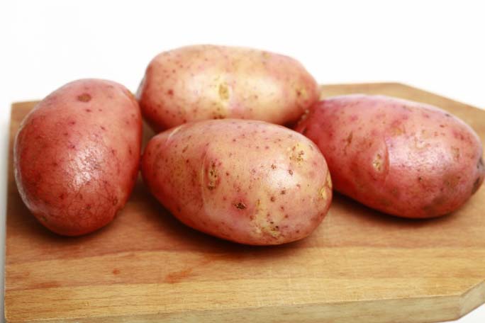Картофель в красном — сорт «ред леди»: описание с характеристиками плода и фотографиями