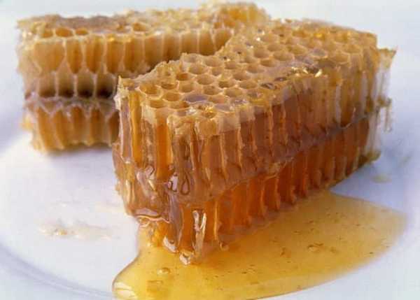Пчелиный воск: польза и вред, лечебные свойства, применение в домашних условиях