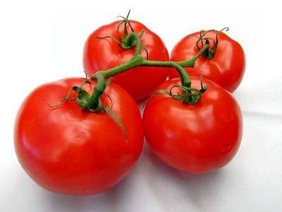 Описание гибридного томата кибиц и выращивание рассады своими руками