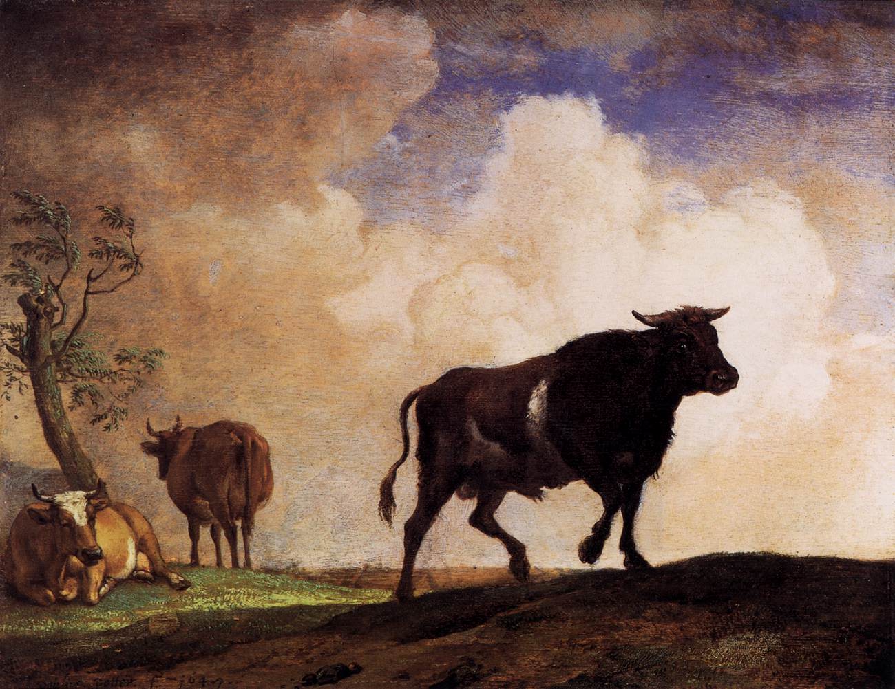 Спаривание (случка) коров: в каком возрасте бык может покрыть буренку — естественное осеменение и искусственное оплодотворение — moloko-chr.ru