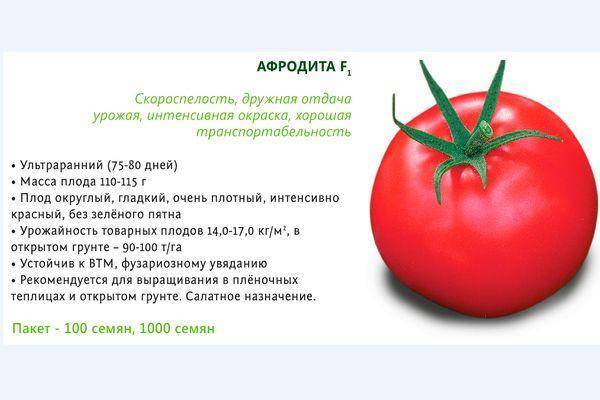 Описание и свойтсва томатов афродита — особенности хранения