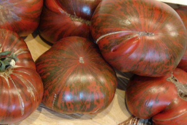 Полосатый томат «арбузный»: описание, характеристика уникального сорта и фото