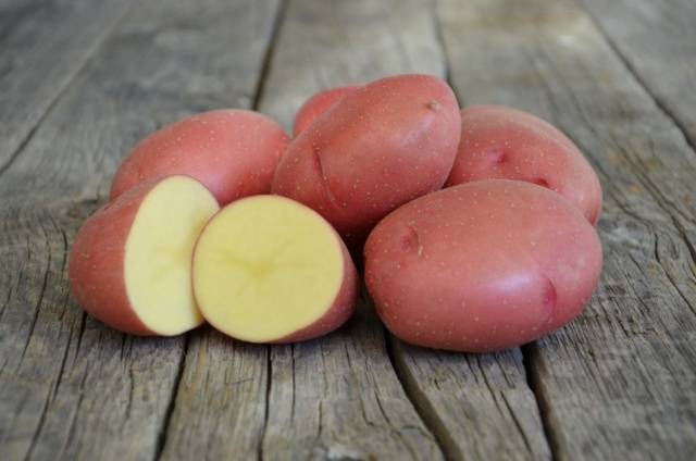 Сорт картофеля кураж — особенности и описание