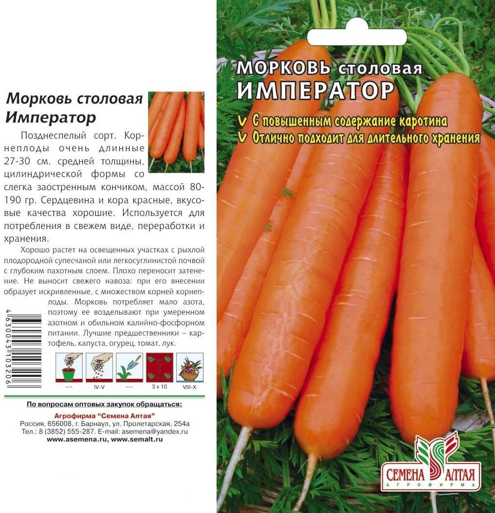Морковь император: подробное описание сорта, отличие от других разновидностей, преимущества и недостатки, выращивание, сбор и хранение урожая, болезни и вредители