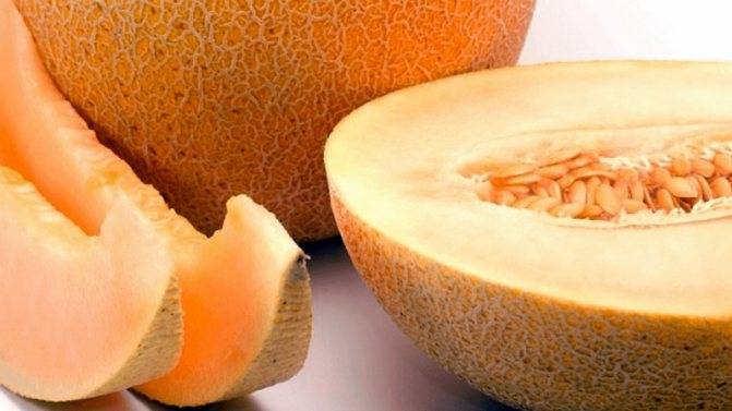 Отравление дыней — симптомы и лечение