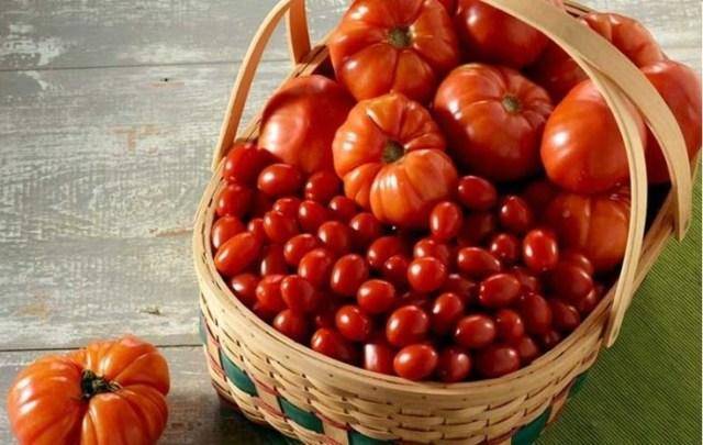 Подготовка семян к посеву: перца, томатов, этапы обработки, как правильно подготовить семечки к посадке