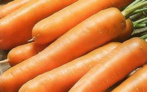 Морковь мармелад f1