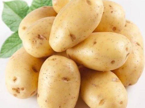 Сорта картофеля с названиями по алфавиту: характеристика, описание, урожайность