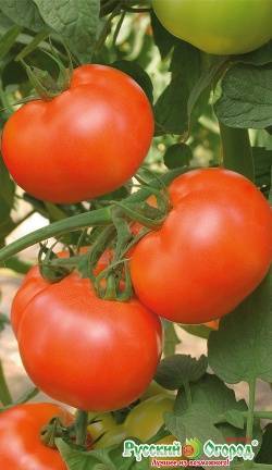 Томат астраханский: характеристика и описание сорта, урожайность с фото