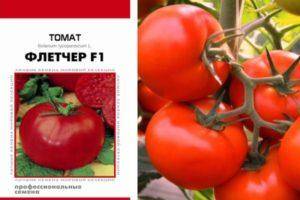 Томат евпатор f1: отзывы, фото, описание и выращивание