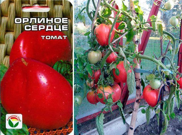 Вкусный томат золотое сердце: отзывы, фото и описание