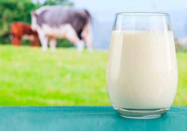 Молозиво коровы: состав и свойства, сколько дней дает, как хранить