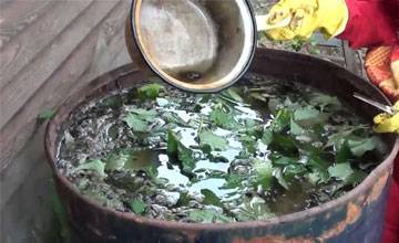 Настой крапивы для подкормки растений - запишите рецепт зеленого удобрения из крапивы. | красивый дом и сад