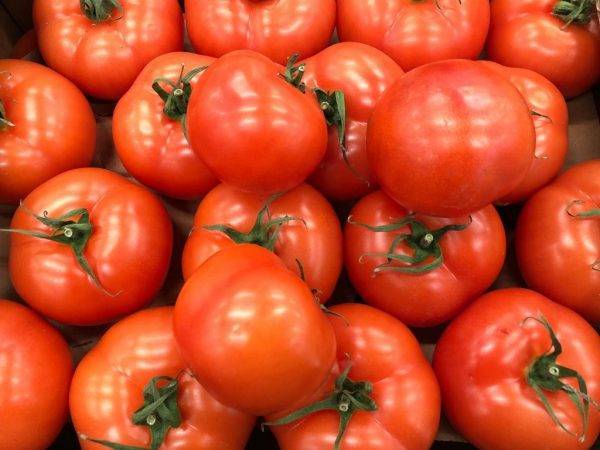 Сорт томата «подарочный»: описание, характеристика, посев на рассаду, подкормка, урожайность, фото, видео и самые распространенные болезни томатов