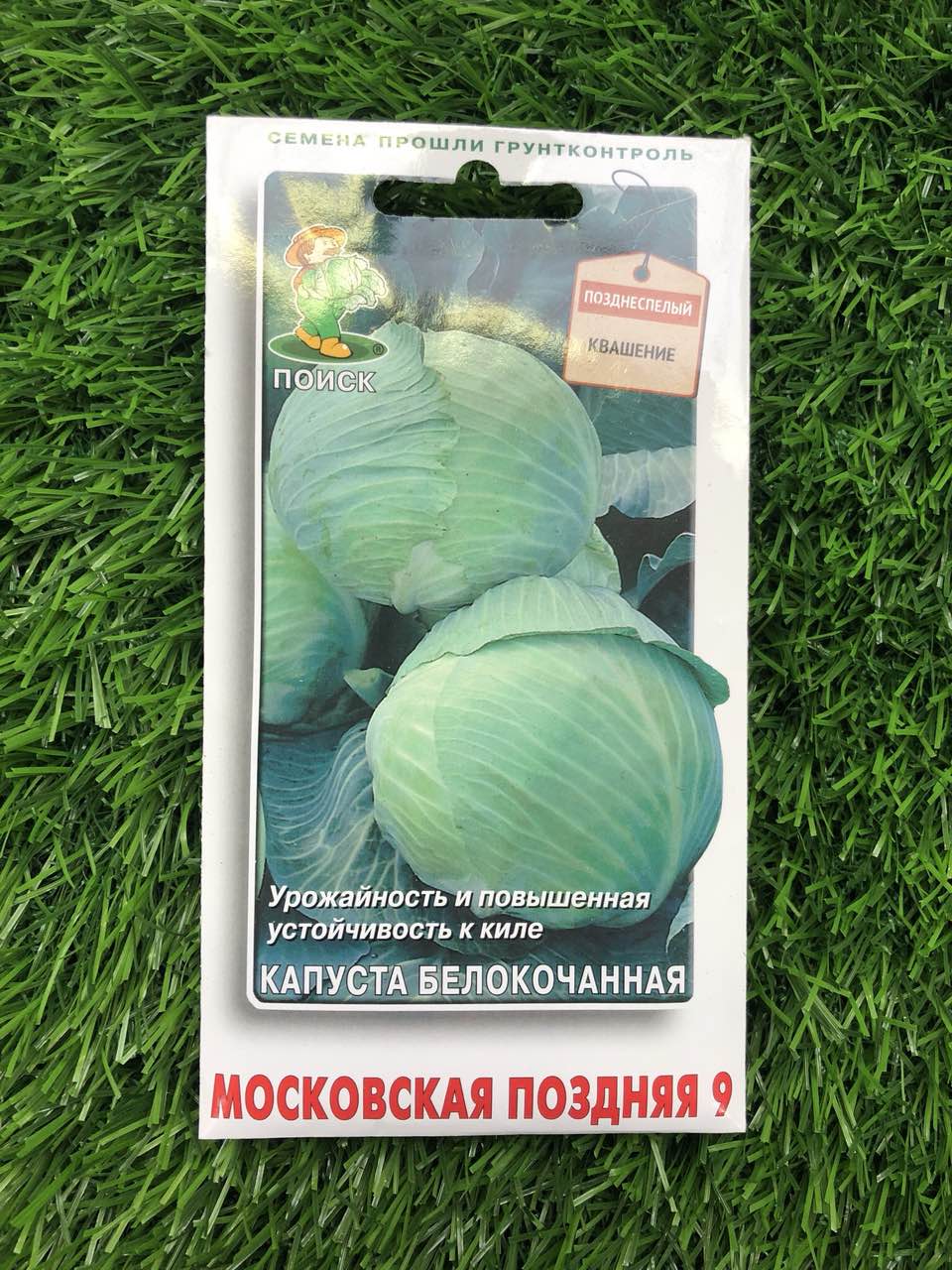 Особенности выращивания сорта капусты московская поздняя