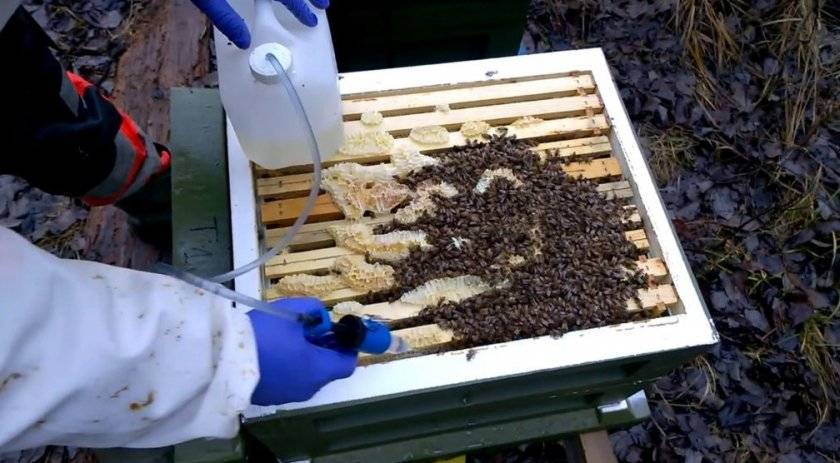 О бипине для пчел: инструкция по применению, обработка пчел бипином осенью