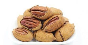 Пекан обыкновенный или кария– чудо-орех из северной америки