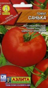 Описание и характеристики раннего сорта томата кибиц