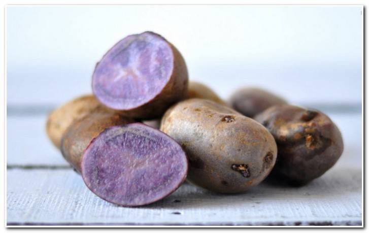 Необычный сорт с красивыми синими клубнями — картофель индиго: описание и характеристика