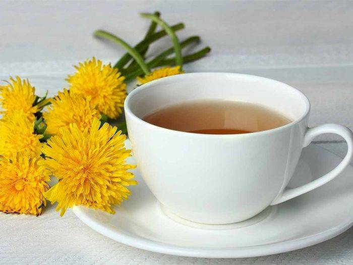 Полезные свойства чая из корней и листьев одуванчика