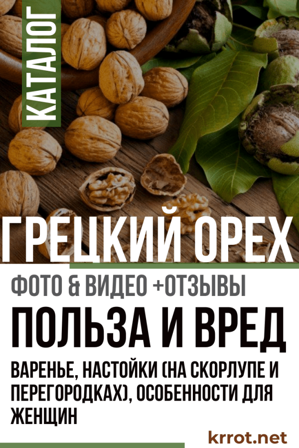 Варенье из грецкого ореха: польза и возможный вред | польза и вред