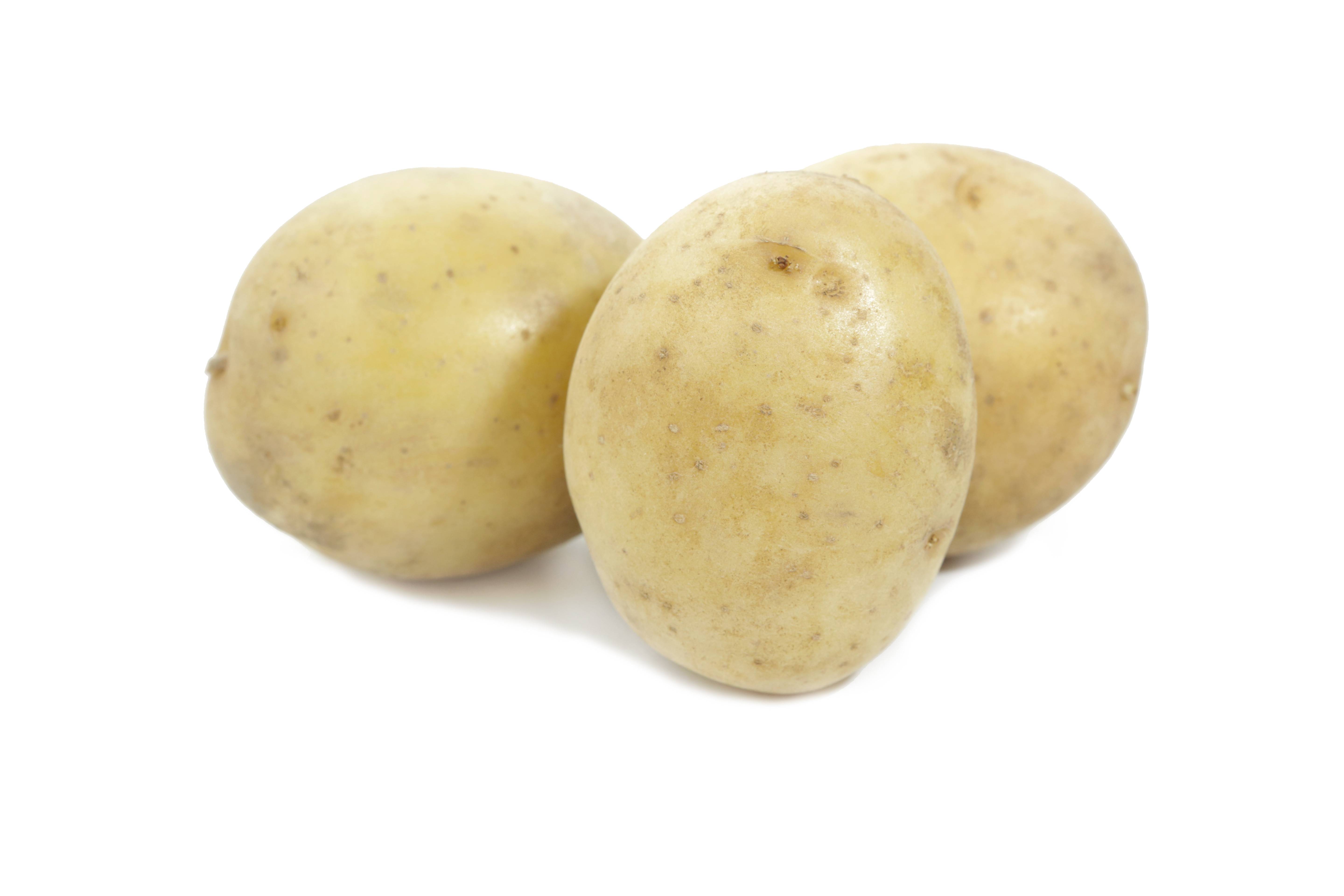 Картофель агрия — характеристика, описание, отзывы
