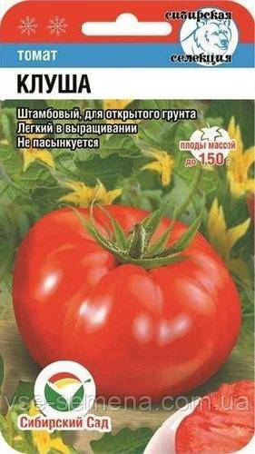 Томат "клуша" (супер клуша): характеристика и описание сорта помидор, фото поспевших плодов, как выращивать в открытом грунте и теплице?