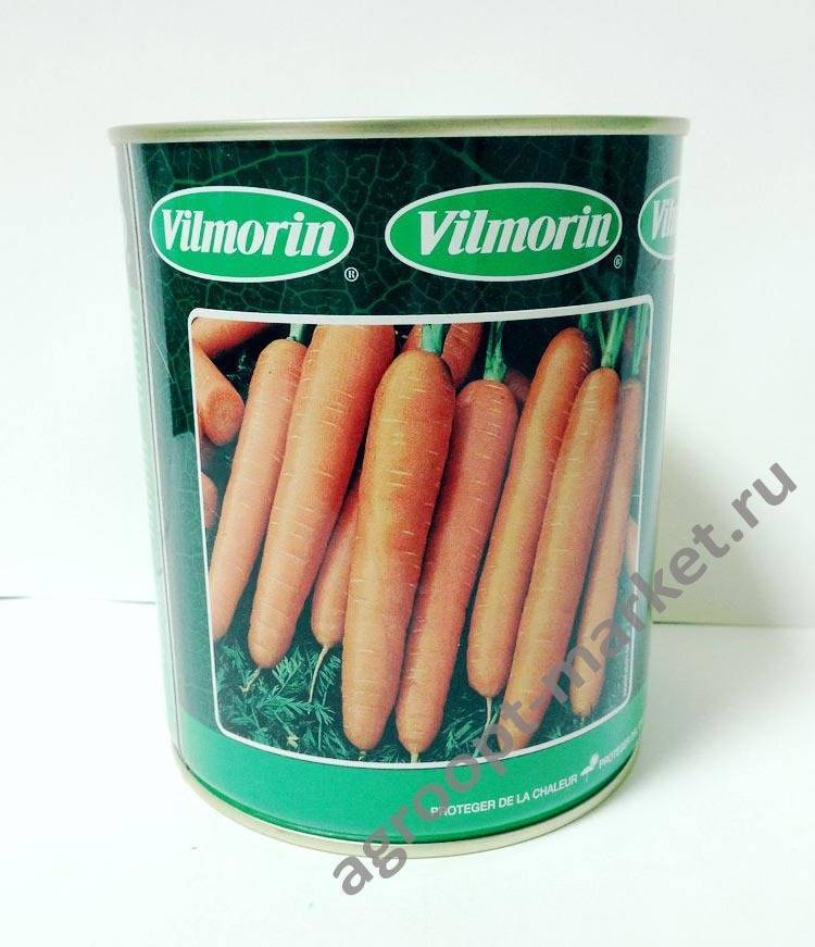 Подробная характеристика и агротехника выращивания моркови сорта болеро f1
