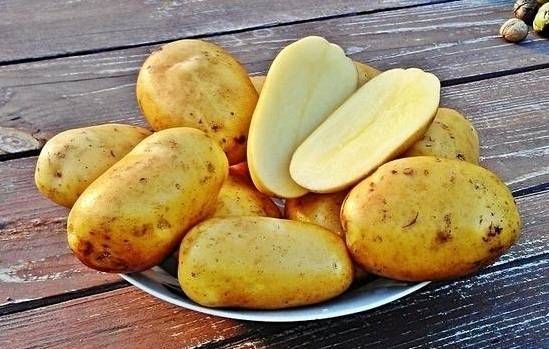 Картофель "крепыш": описание сорта, фото и главные характеристики