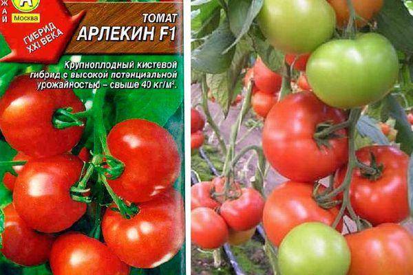 Томат "ля ля фа" f1: характеристика сорта, описание и фото помидоров