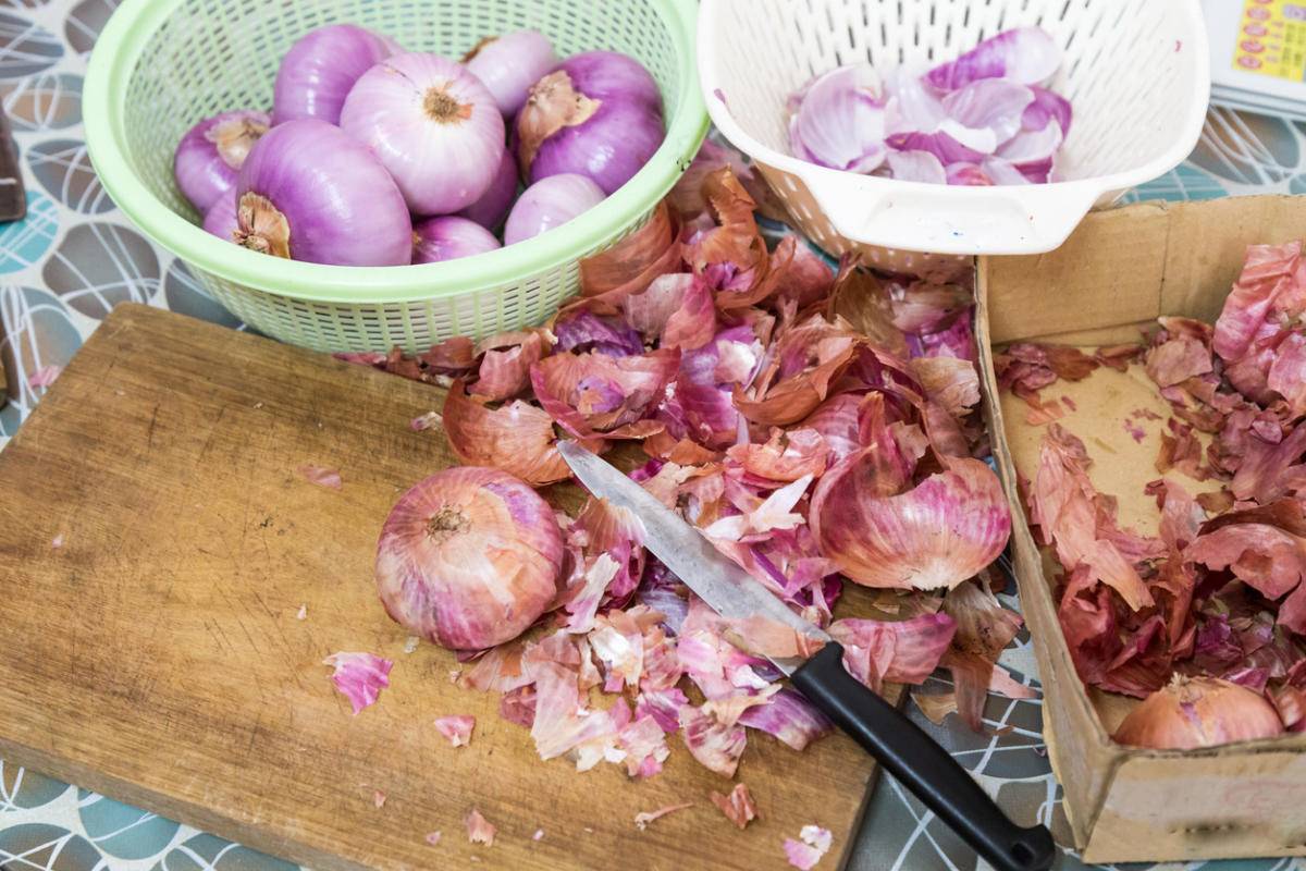 Как правильно подкармливать рассаду томатов луковой шелухой