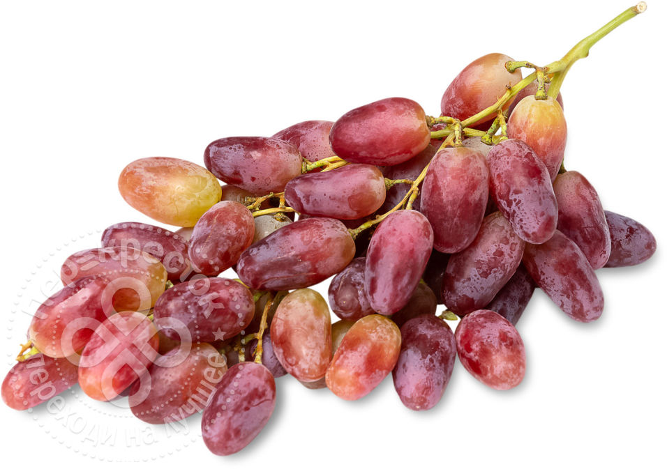 Описание сорта винограда ризамат: фото и отзывы | vinograd-loza