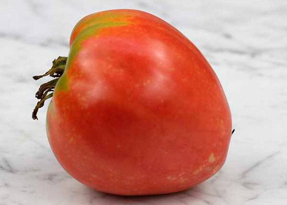 Выращивание томата любимый праздник