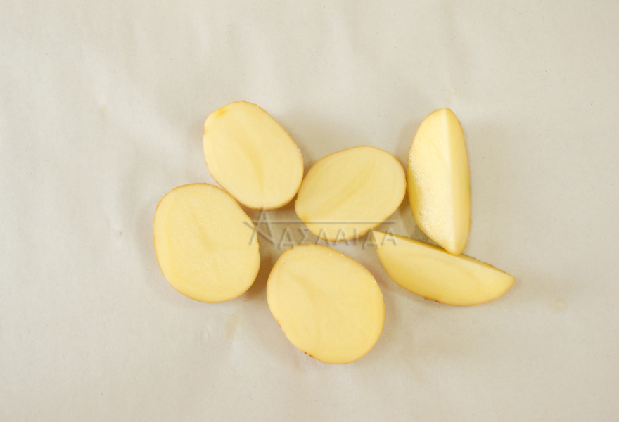 Обладатель нежного вкуса и устойчивости к засухами — картофель аризона: описание сорта