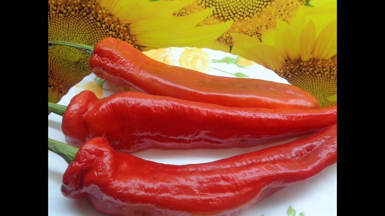 Рекордсмен по содержанию витаминов — сладкий перец «рамиро» с экзотическим внешним видом