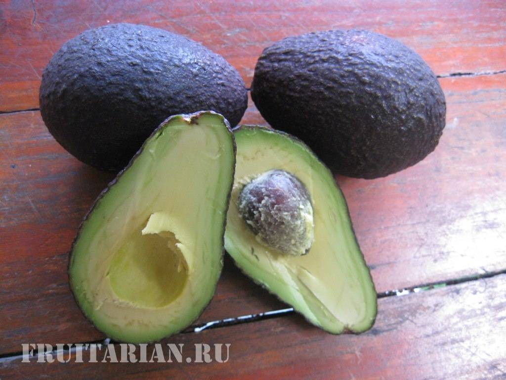Как правильно выбирать авокадо  - все признаки спелого плода