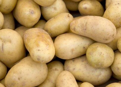Как правильно сажать картофель сорта славянка