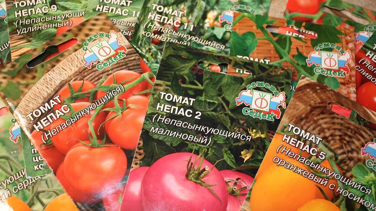 Лучшие низкорослые сорта томатов для открытого грунта, не требующие пасынкования