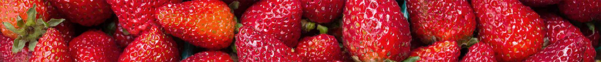 Рубиновый кулон клубника: описание и характеристика сорта земляники