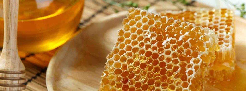 Мед в сотах: можно ли есть воск соты, как едят?
