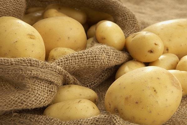 Зорачка: описание семенного сорта картофеля, характеристики, агротехника